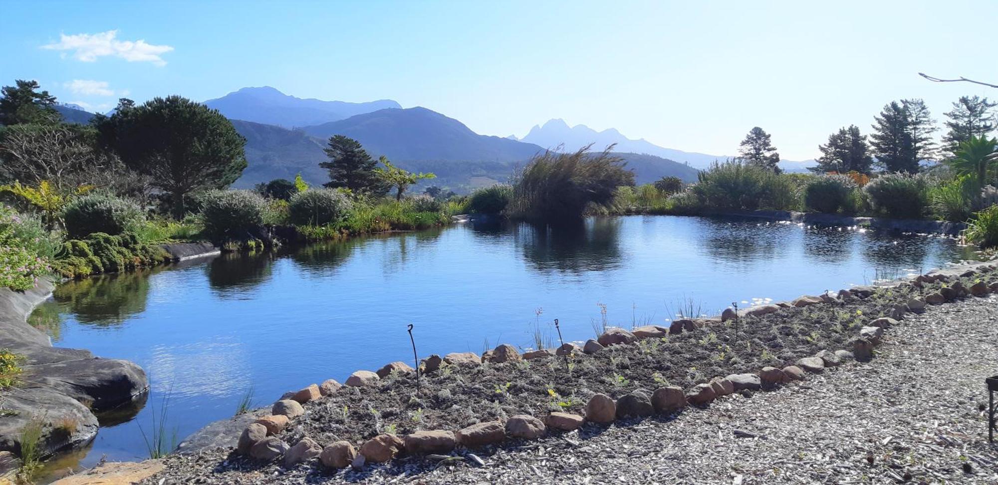 Gecko Cottage At Artemis Franschhoek Exterior photo