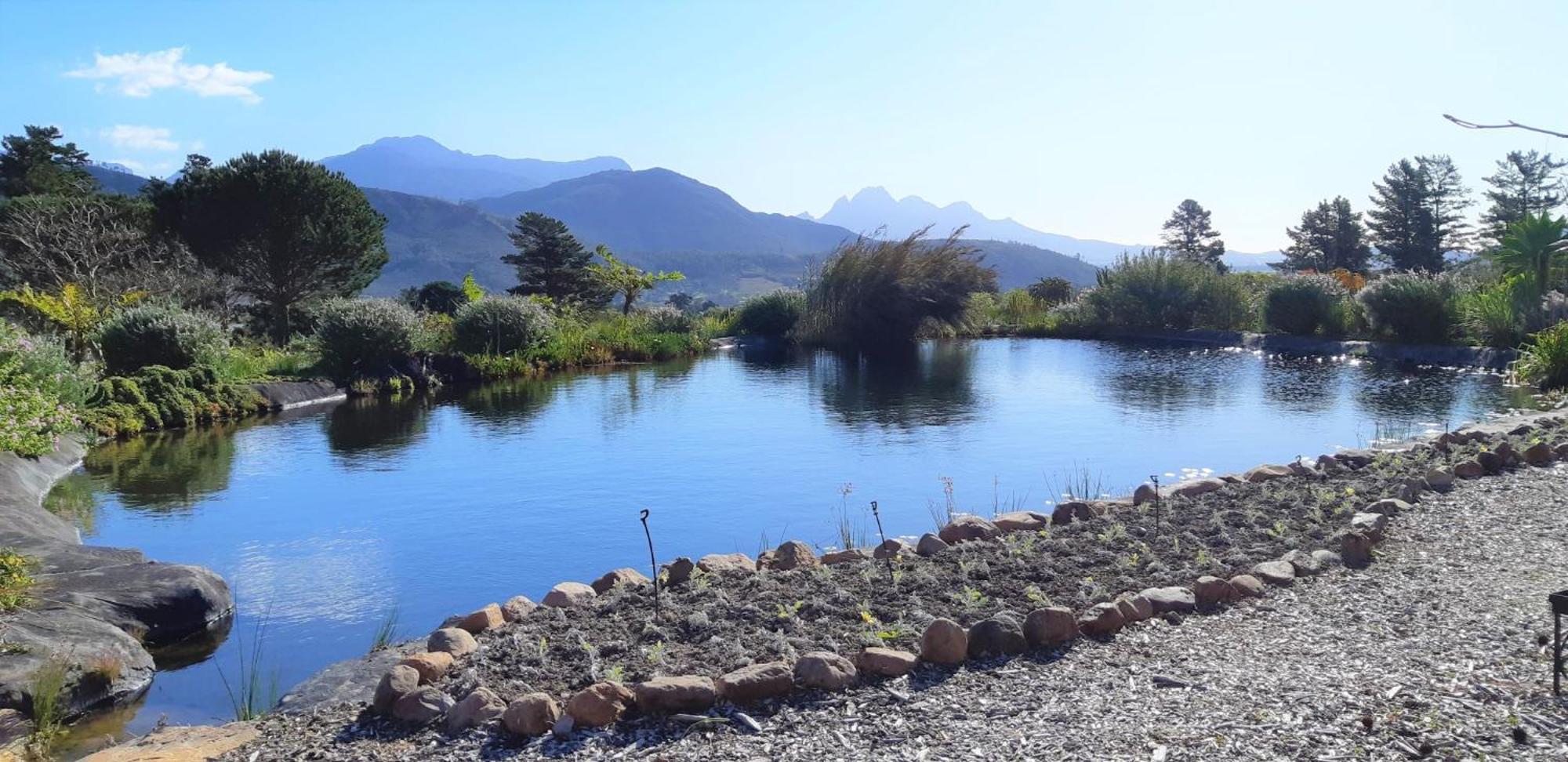 Gecko Cottage At Artemis Franschhoek Exterior photo